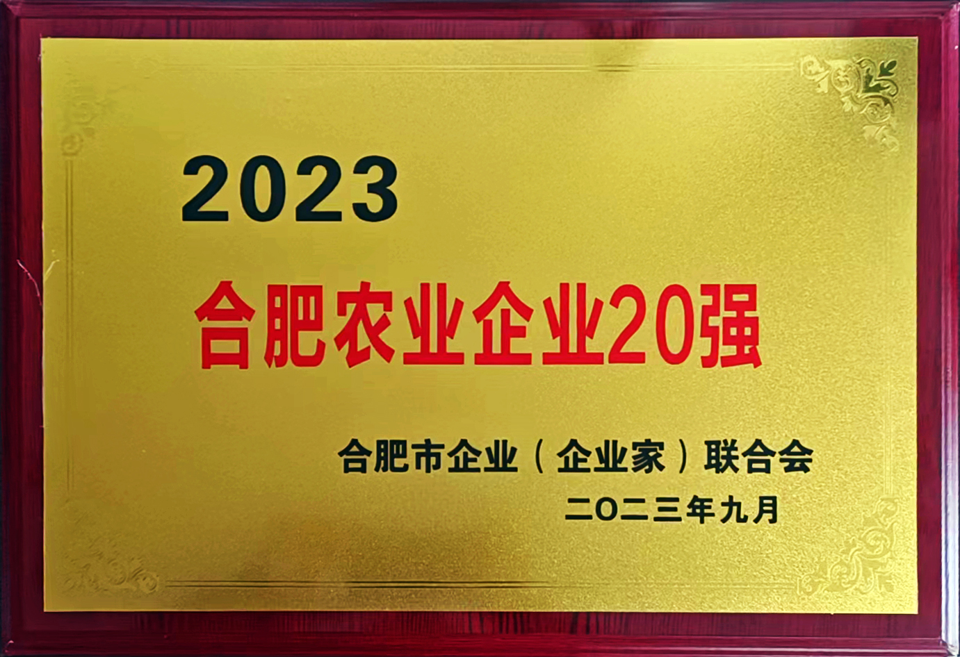 优发国际-随优而动一触即发