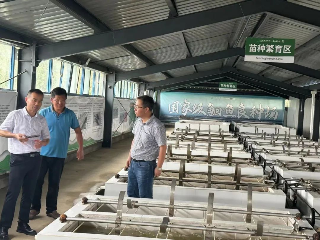 优发国际-随优而动一触即发